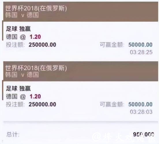 世界杯投注平台功能多样，附深度分析教程